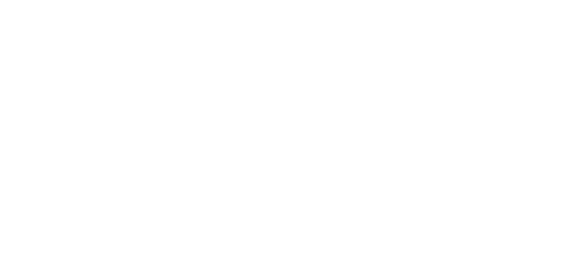 سافٹ ویئر پرو logo